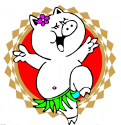   母豬“宮寒”咋辦~來瓶姜湯！